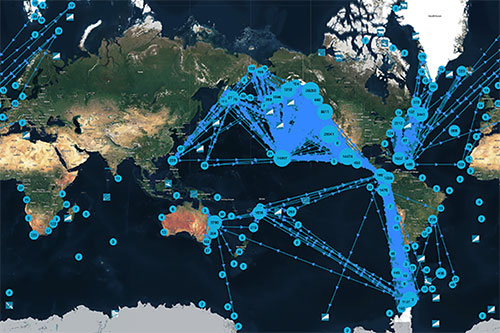 jpg Map Whale sightings