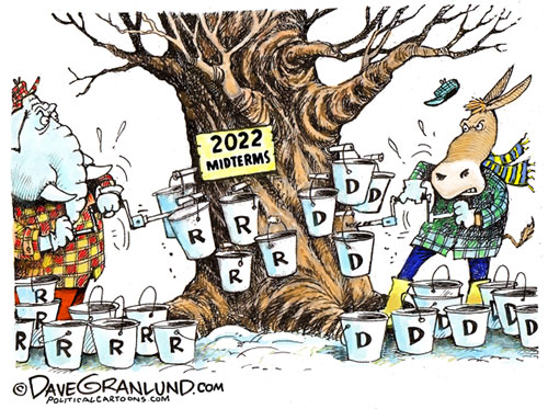 jpg Political Cartoon: Tapping 2022 voters 