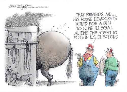 jpg Political Cartoon: Democrats Vote to Give Vote to Illegals