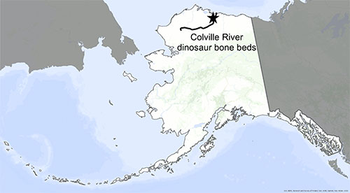 jpg A map locates the dinosaur bone beds along the Colville River in northern Alaska