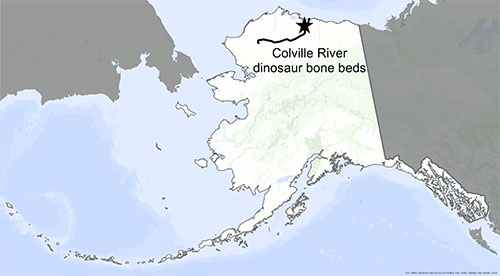 jpg A map locates the dinosaur bone beds along the Colville River in northern Alaska