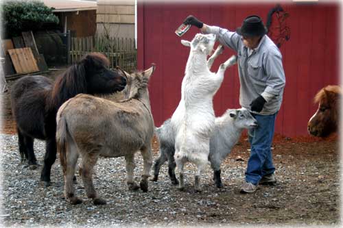 jpg Ketchikan creatures of sheer delight