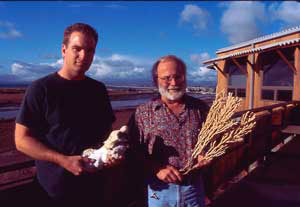 jpg Scientists study coral