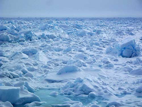 jpg Sea ice north of Barrow. 