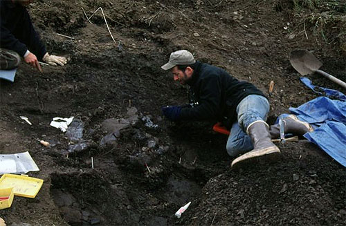 jpg Tony Fiorillo on the North Slope of Alaska, where he discovered a pygmy tyrannosaur. 