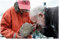 Marine invasive species get bioblitzed in Ketchikan