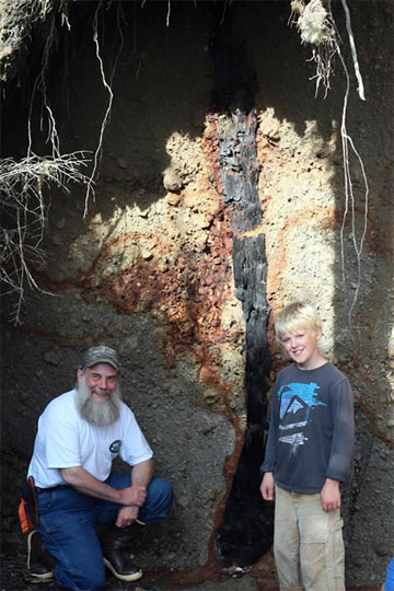 jpg The buried forest of Kruzof Island