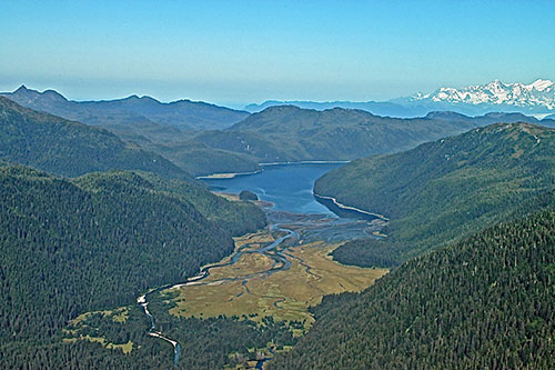 jpg Expansive old-growth rainforests on the Tongass may act as a climate refuge but only if protected from logging 