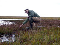 Ponds are disappearing in the Arctic 