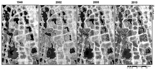 jpg Satellite images showing how Arctic ponds have slowly decreased in size since 1948.