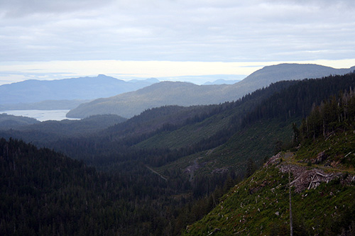 jpg Judge approves Big Thorne, the largest old growth timber sale in decades, and the Tongass Forest Plan 