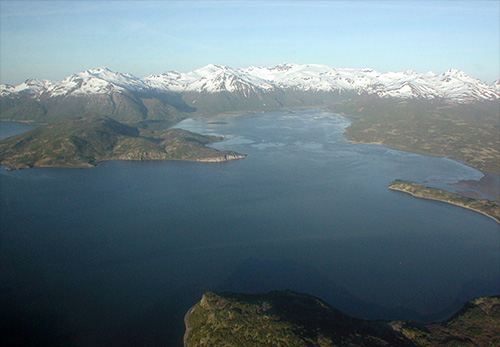 jpg Mallard Duck Bay is one of several nearshore habitats that became shallower between the 1920s and 1990s due to volcanic ash entrapped and stabilized by eelgrass.