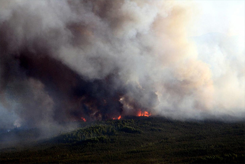 jpg Researchers study Alaska forest fires over past 450 years 