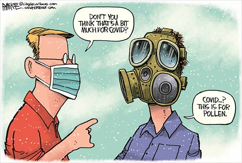 jpg Political Cartoon: Covid Pollen Mask