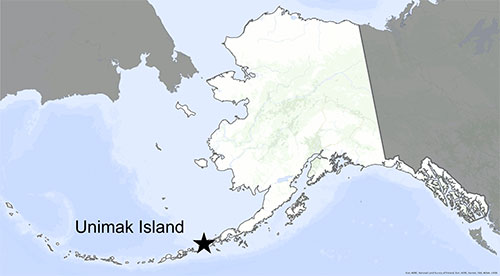 jpg A map shows the location of Unimak Island