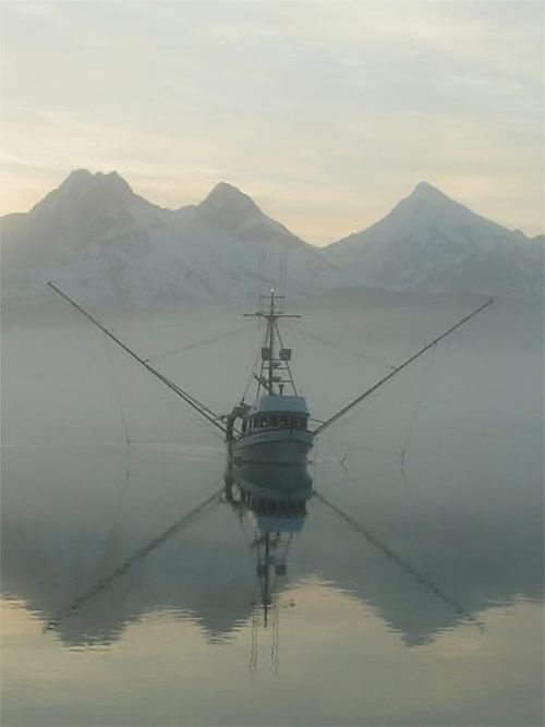 Fishermen-led projects increase understanding of Southeast Alaska ecosystem 