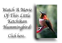 Hummingbird Movie
