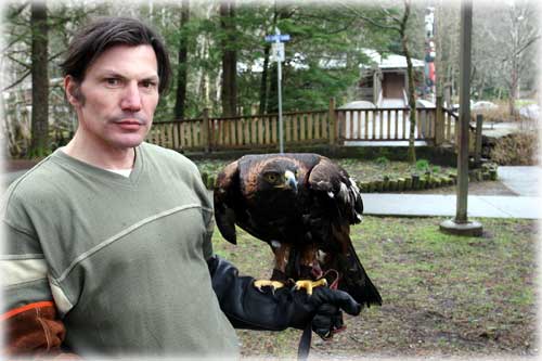 Jpg Zelenka with Goshawk