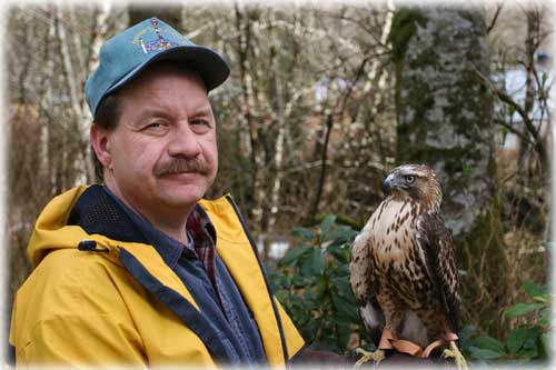 jpg Sarro with Harris Hawk