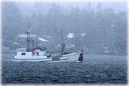 jpg F/V Aleutian