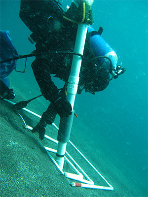 jpg A diver samples the sands offshore of Kasatochi Island in June 2009. 