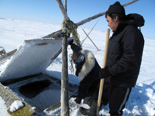 jpg Kenji Yoshikawa and Kivalina resident Perry Hawley pry the top from an ice cellar.