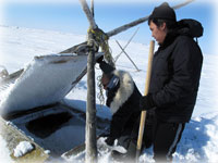 Visiting a far north ice cellar