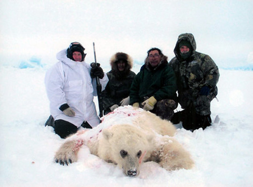 jpg Hybrid grizzly-polar bear a curiosity