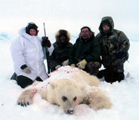 Hybrid grizzly-polar bear a curiosity