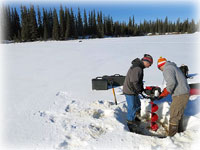 A springtime journey on the arctic coastal plain 