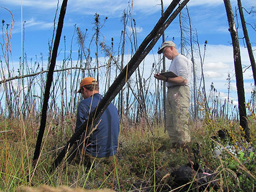 jpg Scientists predict slower permafrost greenhouse gas emissions 