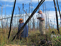 Scientists predict slower permafrost greenhouse gas emissions