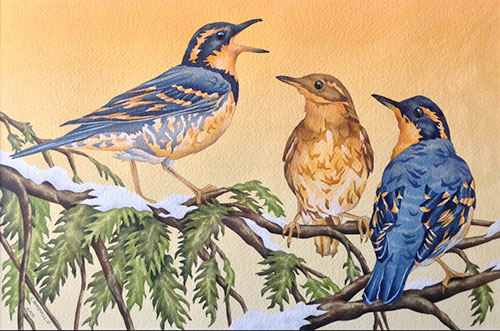 jpg Results for the 2015 Alaska Hummingbird Festival Juried Art Show 