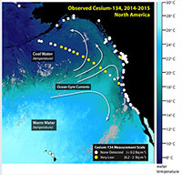 Trace Amounts of Fukushima Radioactivity Detected Along Shoreline of British Columbia