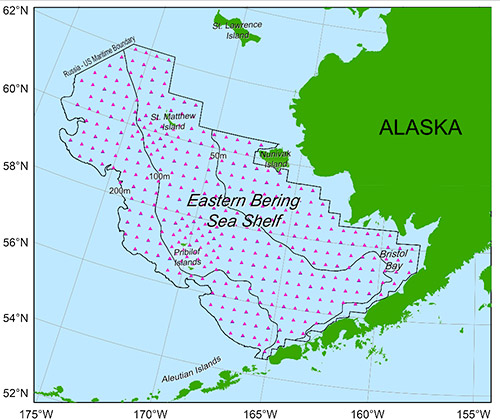 jpg Eastern Bering Sea Survey