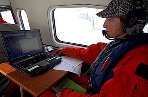 jpg Marine mammal scientist Amelia Brower surveying gray whales from the air.