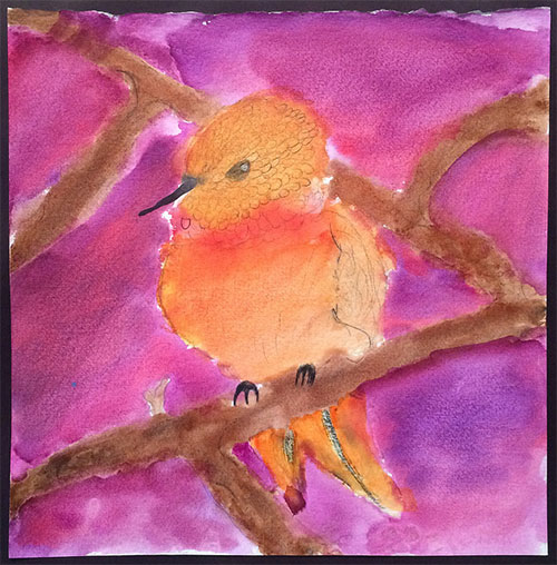 jpg Honorable Mention:
Oliva Meehan-Driscoll , “Sunset Bird,” Watercolor, Species: Rufous hummingbird 