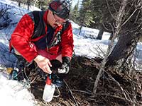 Carpeting the Denali Fault with earthquake sensors