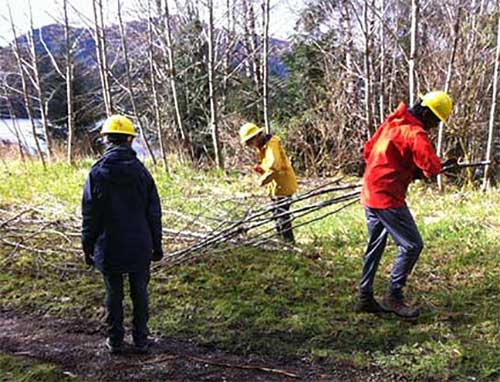 jpg Volunteers on Prince of Wales Island work and learn 