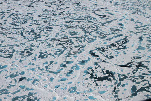 jpg Solving the mystery of the Arctic's green ice 