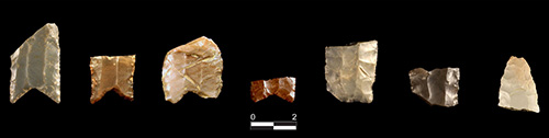 jpg Spear points with fluted edges prove that early inhabitants
traveled all over North America. 