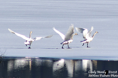 Front Page Feature Photo By CINDY MOODY