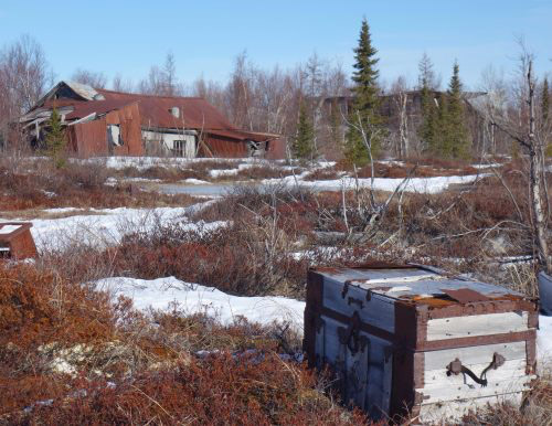 jpg A travel trunk sits on the tundra in the ghost town of Iditarod.