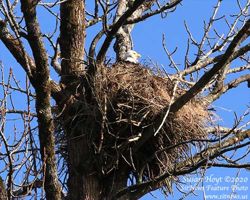 Front Page Feature Photo By SUSAN HOYT