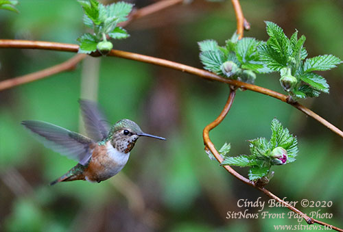 Front Page Feature Photo By CINDY BALZER