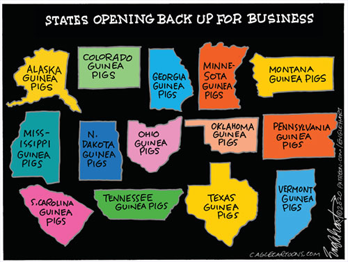jpg Political Cartoon: States Opening Up