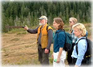 Photo - Muskeg Meadows.. Click here...