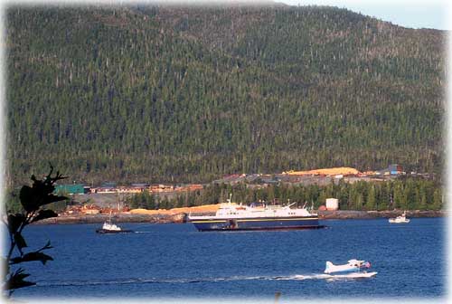 photo LeConte Ketchikan, AK