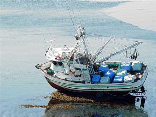 jpg fishing vessel Lovey Joann