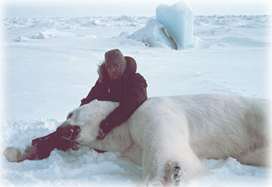 Debunking the Myth of Polar Bear Hair